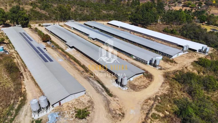 GRANJA À VENDA COM 39 HECTARES | JEQUITIBÁ/MG - Foto 4