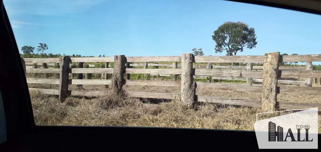 Fazenda, Centro, Figueirão - Foto 3