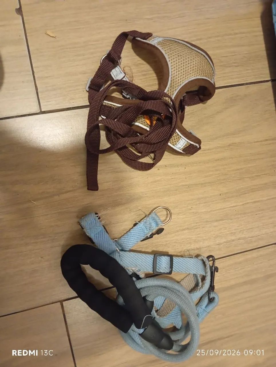 Caixa de transporte para cachorro - kit completo  - Foto 3