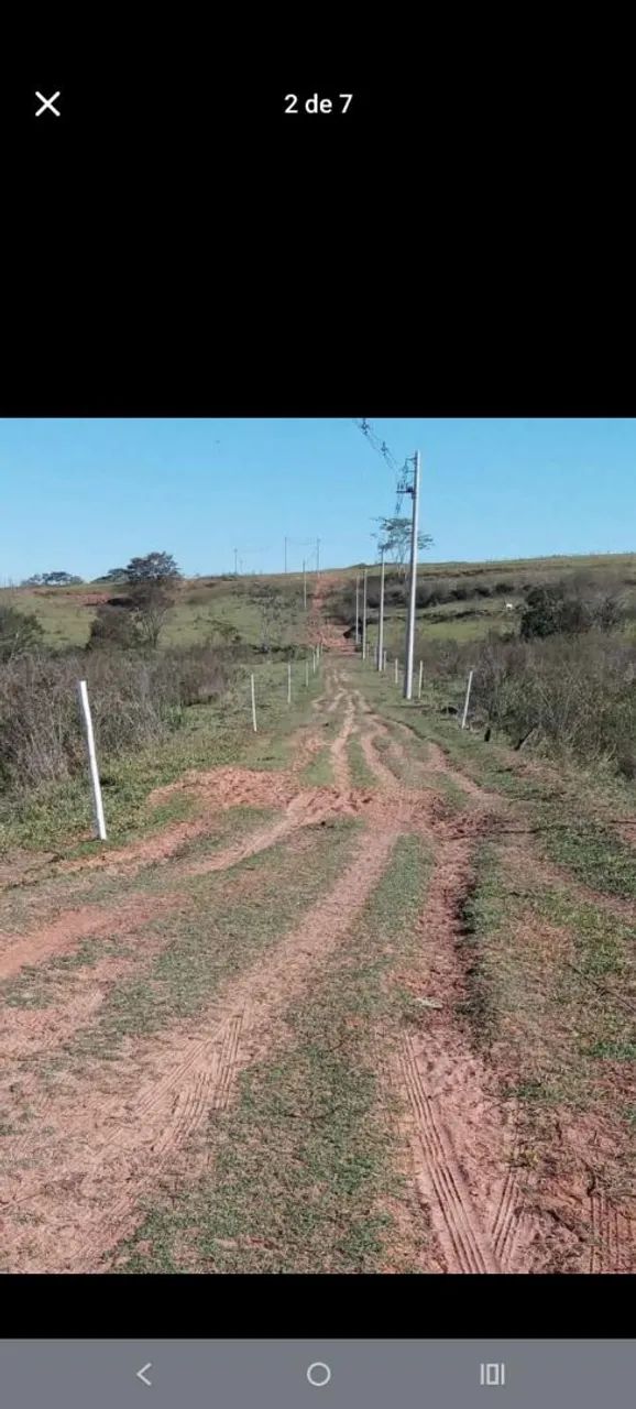 Sítio 2 hectares em Taquaritinga  - Foto 5