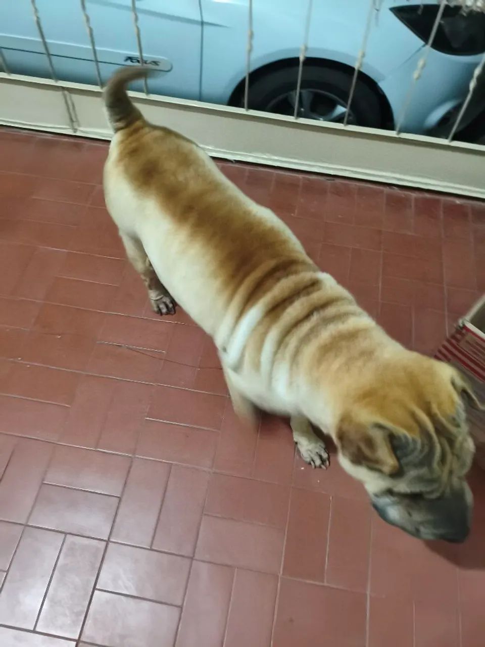Doação  - Foto 4