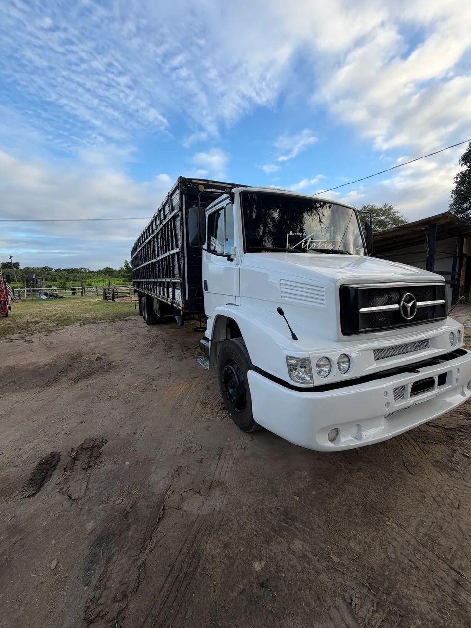 Vende-se Boiadeiro  - Foto 4