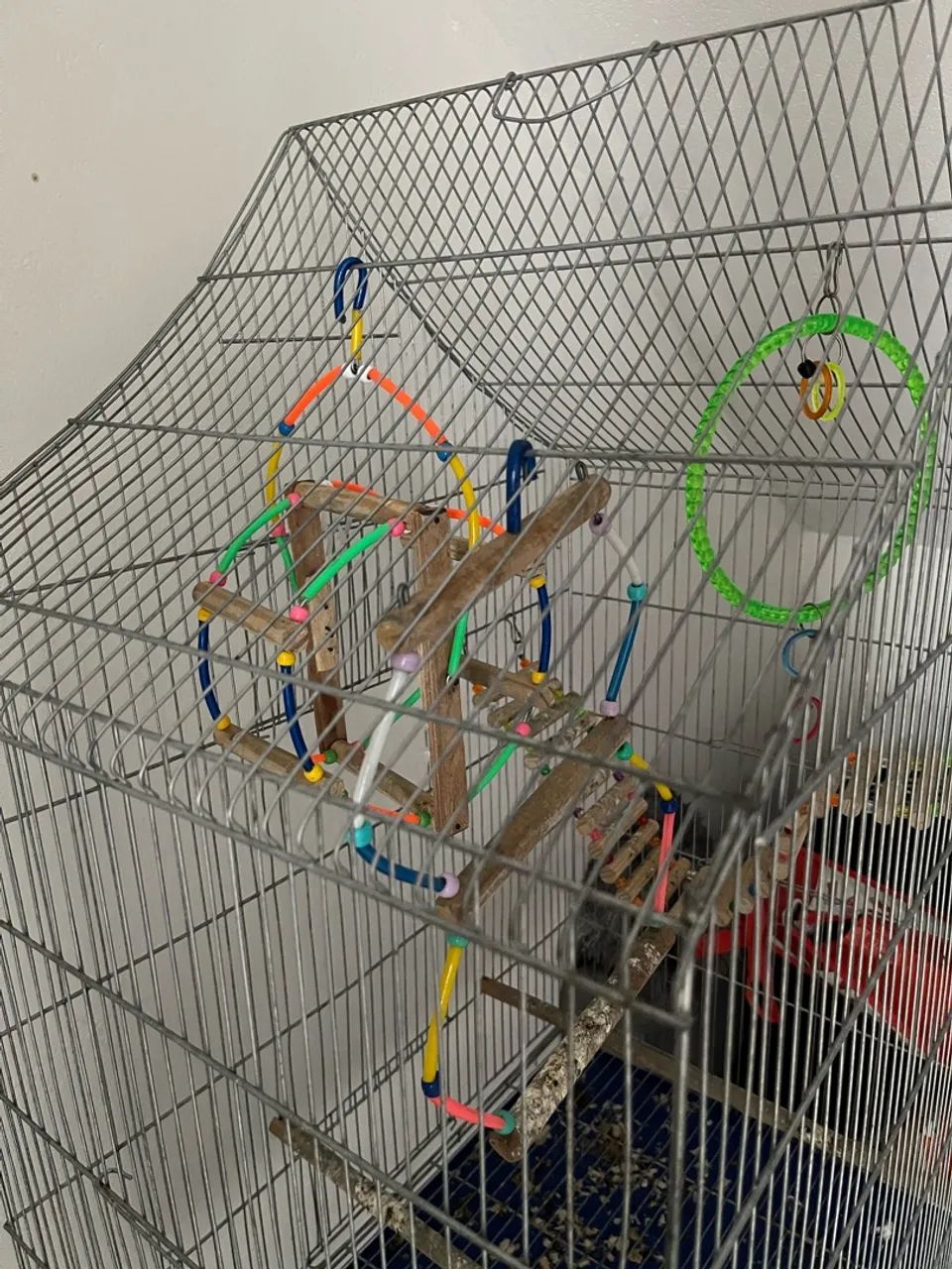 Gaiola para passaros