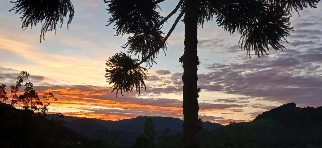 REFÚGIO MEIO MANÉ MEIO SERRANO- NEGÓCIO RURAL EM FUNCIONAMENTO - Foto 4