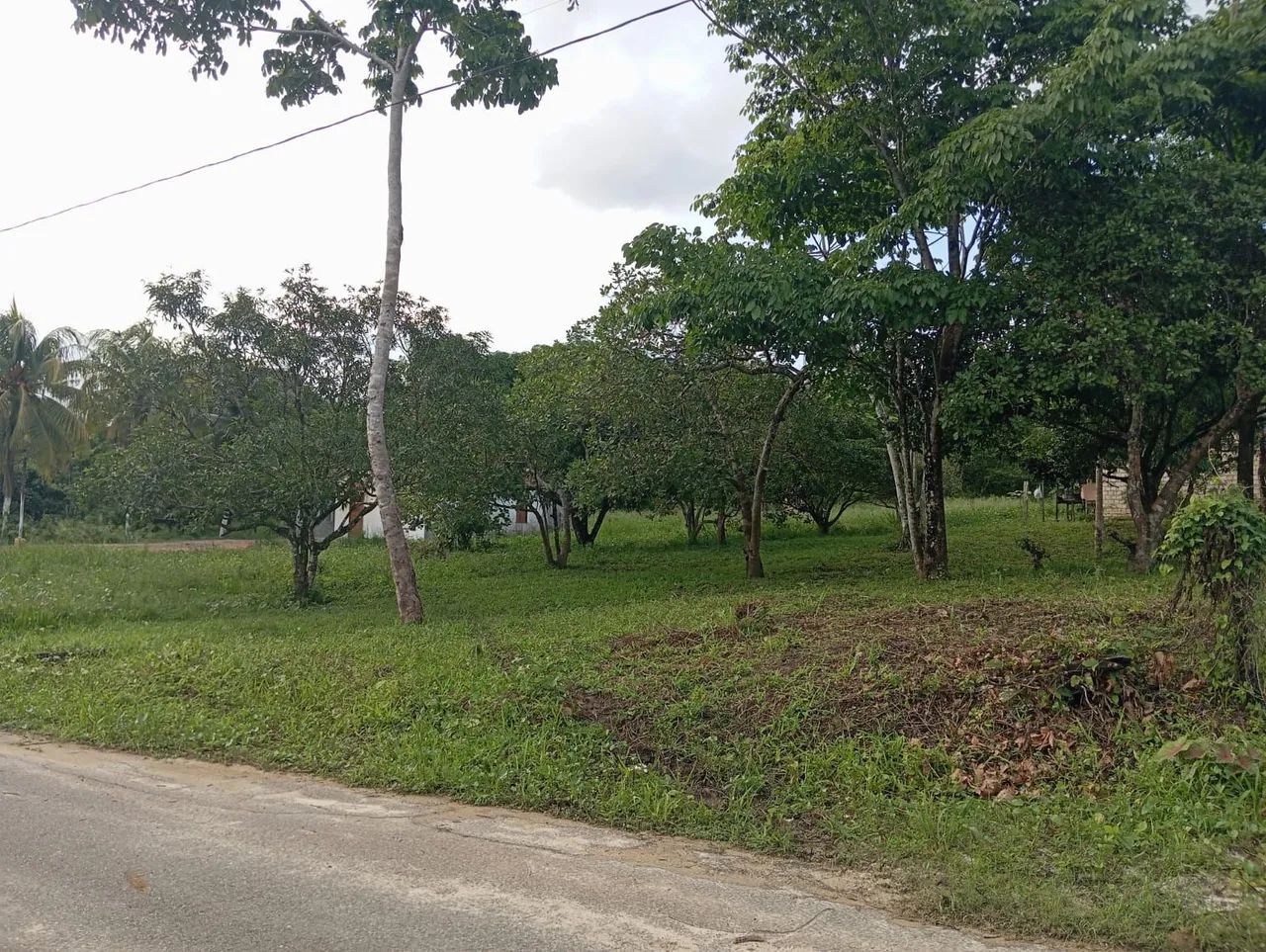 VENDE-SE ESTE TERRENO 12x36 - Foto 2
