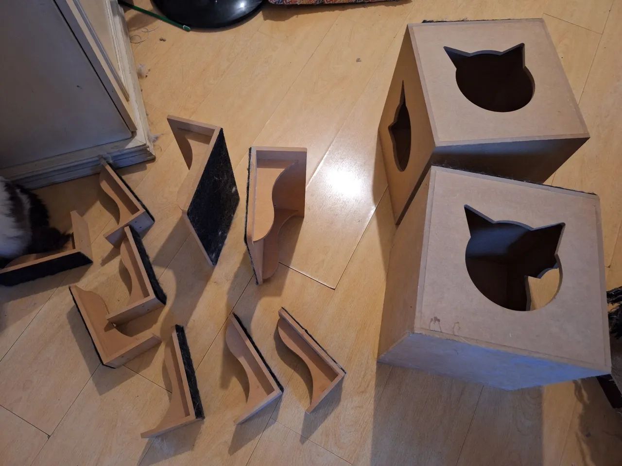 Playground para gatos parede circuito nicho