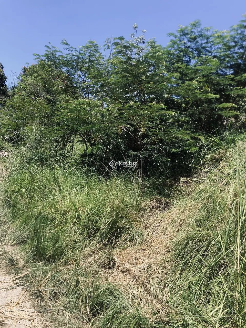 Lote em Aclive com 308m² no Roma - Foto 4