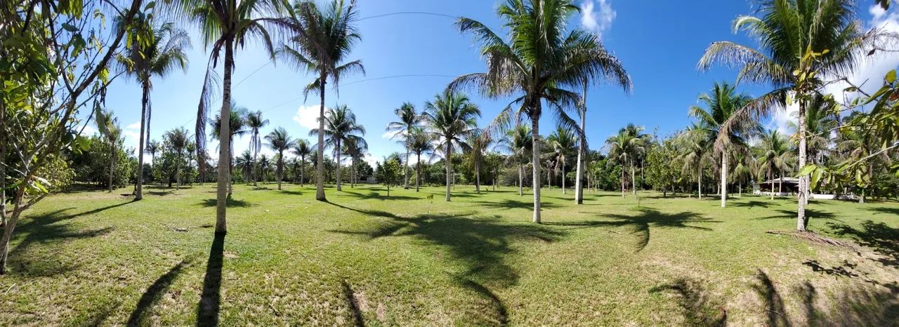 Sítio em Novo Airão  - Foto 3