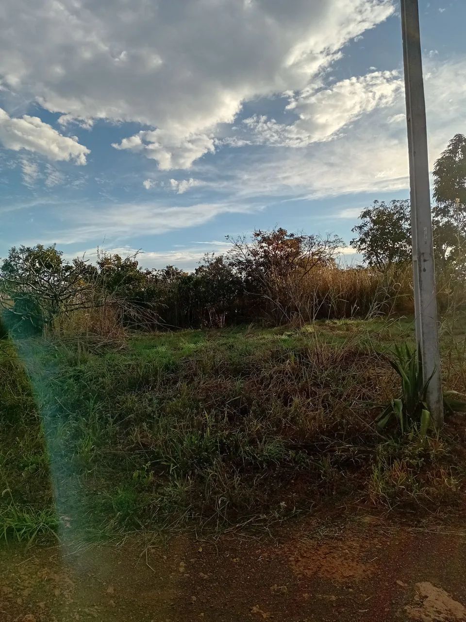 Lote
