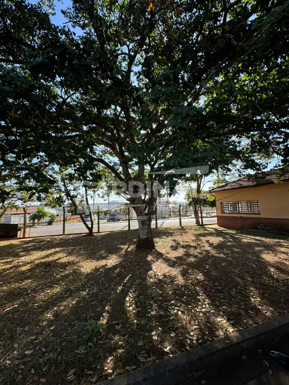 Comercial Galpão em Ribeirão Bonito - Foto 3