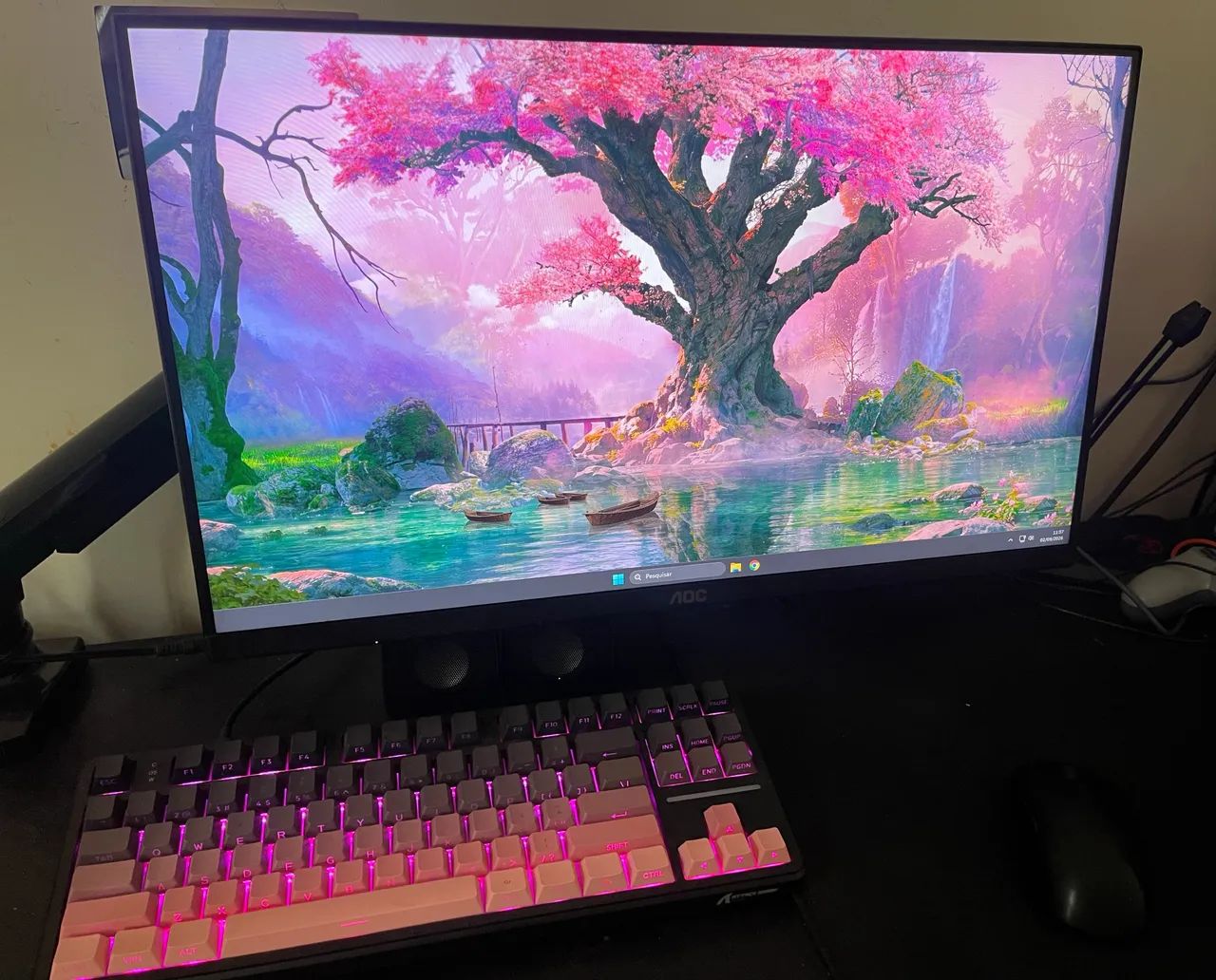 Monitor AOC 100hz