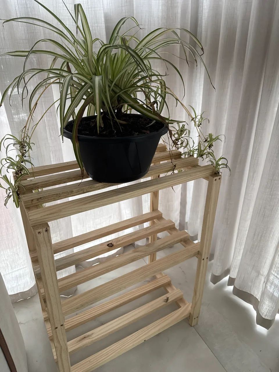 Mesinha com planta  - Foto 2