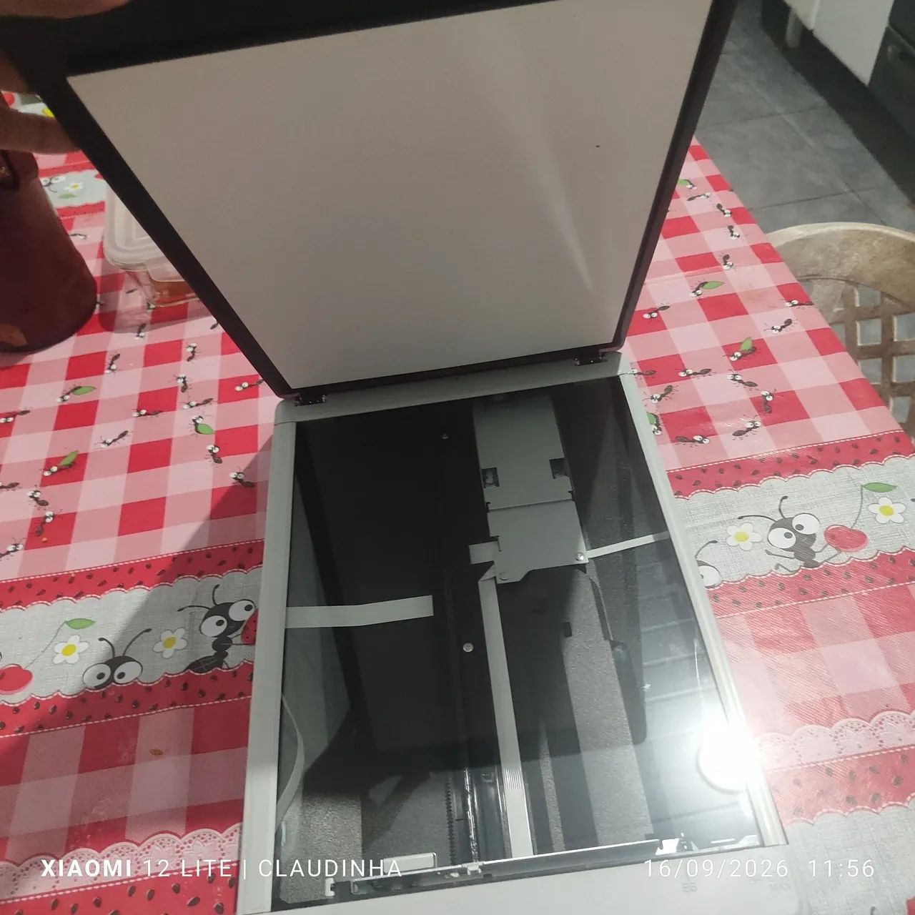 Scanner Epson Perfection V19  - Foto 2