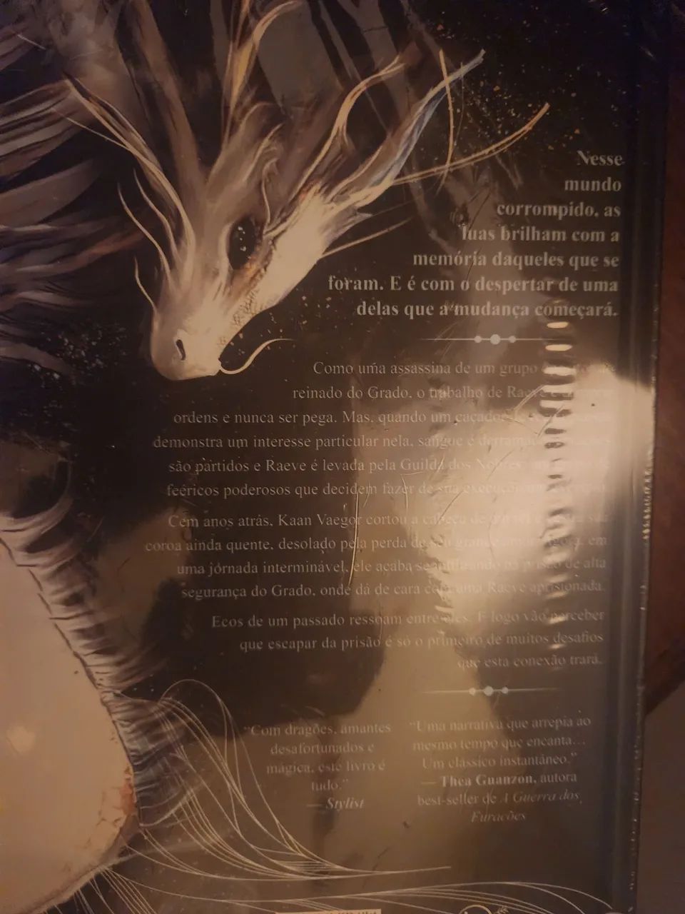 Livro O Despertar  da Lua Caída - Foto 3