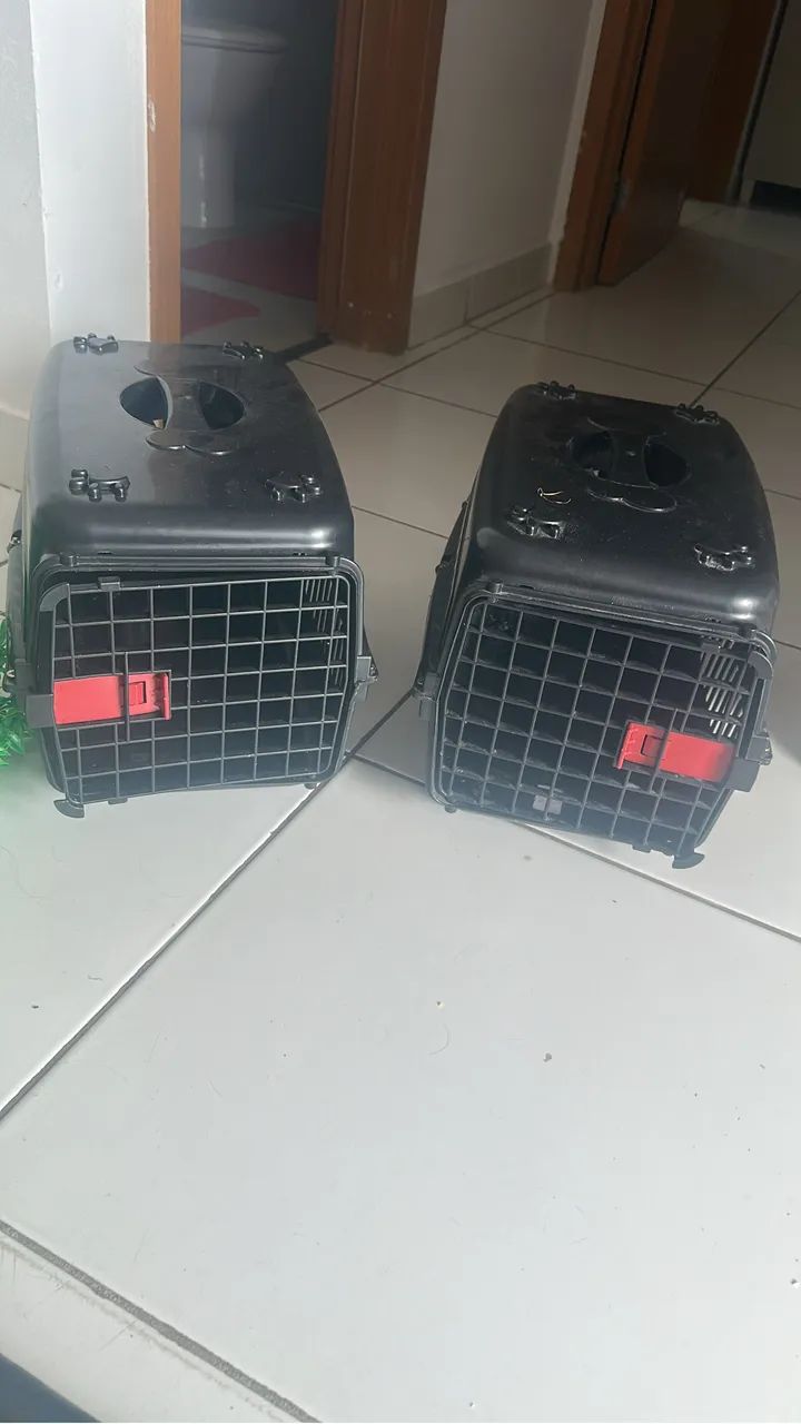 Casinha para transporte de pet
