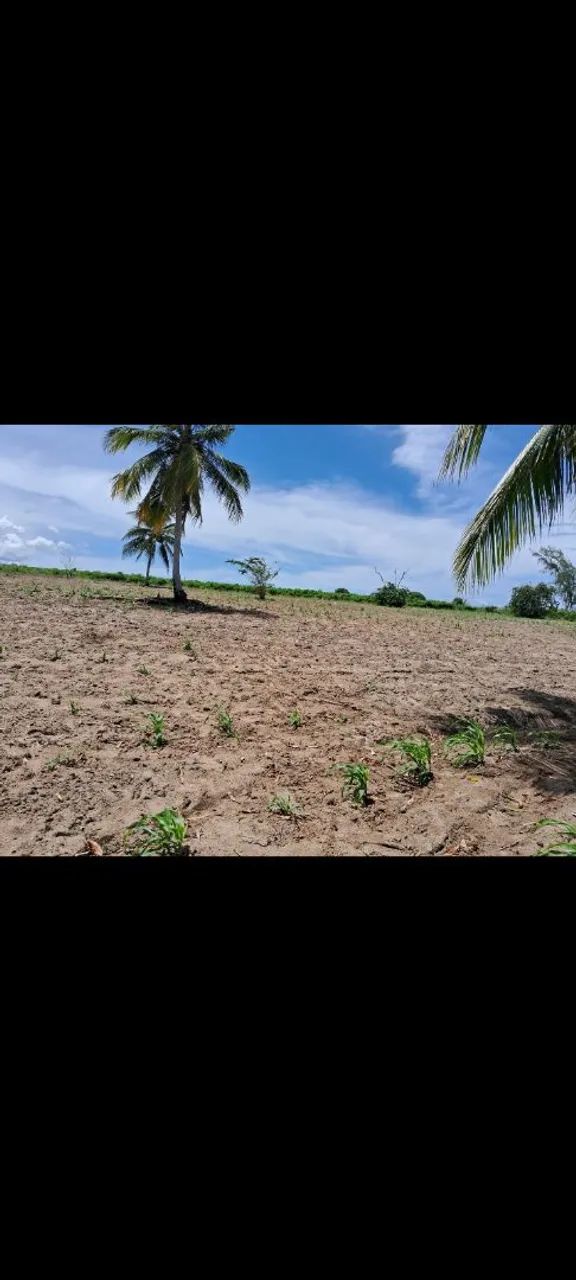 Terreno   - Foto 5