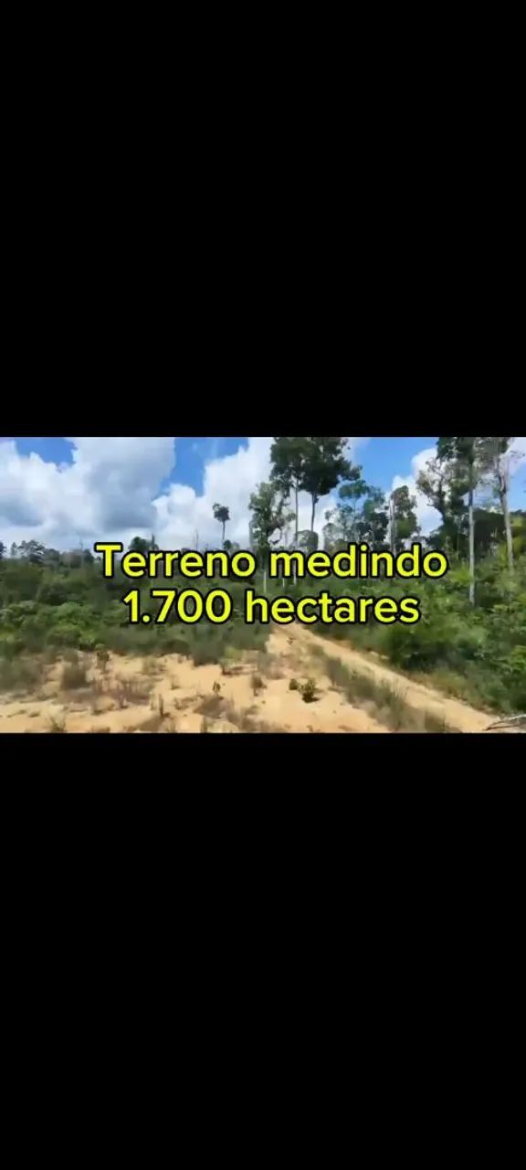 Terreno com 600 hectares de pasto  - Foto 2