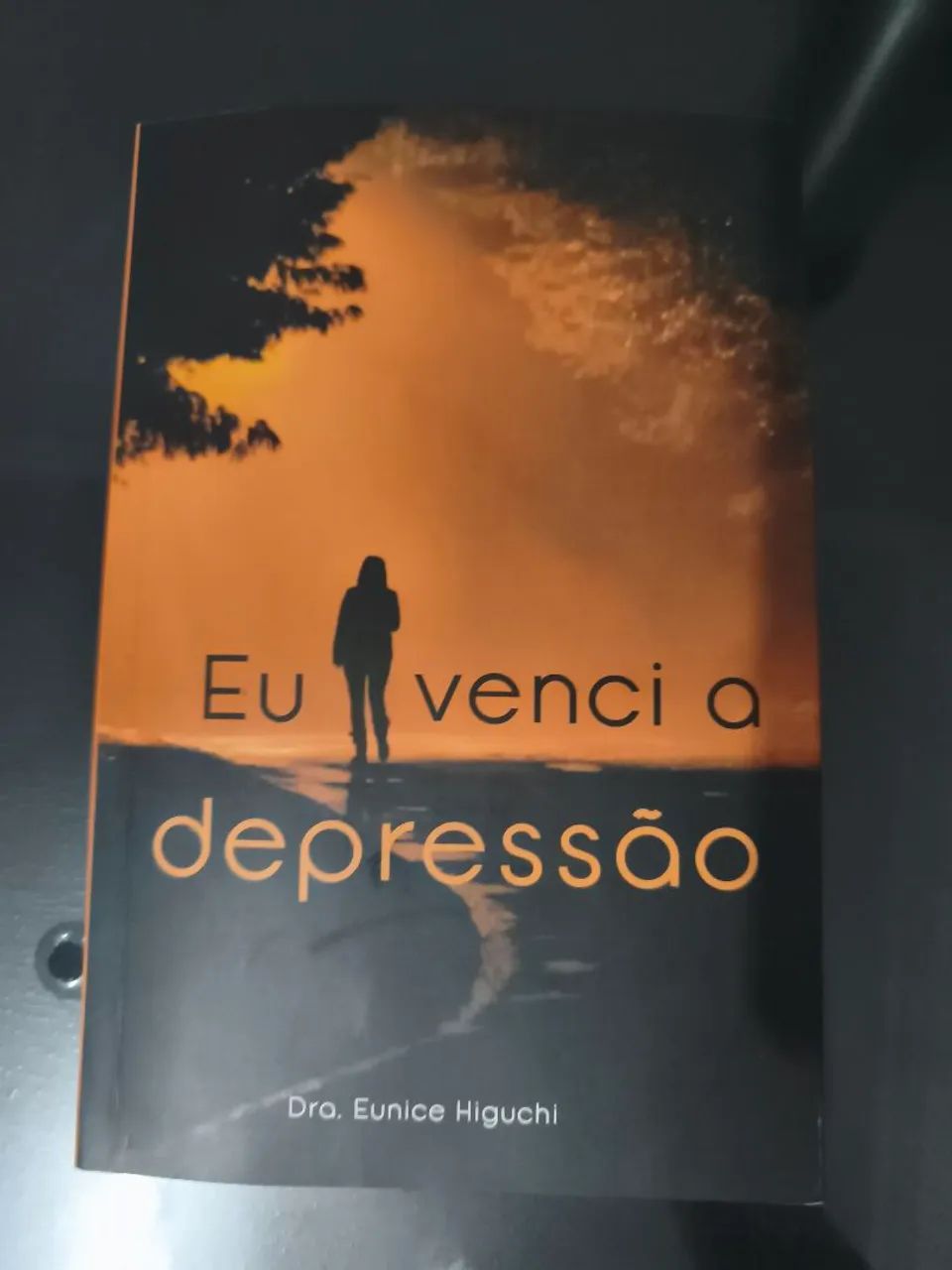 Eu Venci a Depressão: O guia de superação escrito pela Dra. Eunice Higuchi