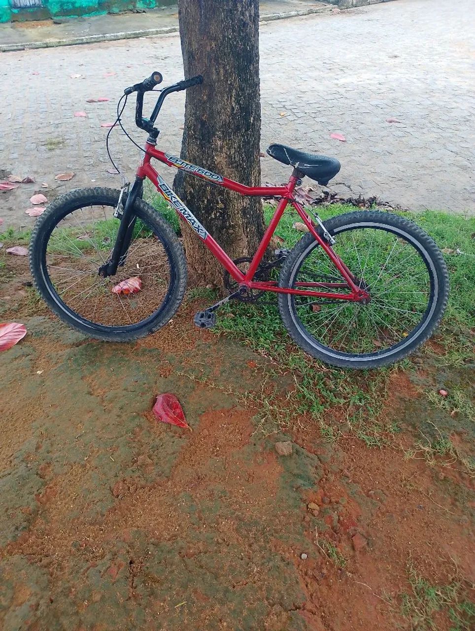 Bicicleta  - Foto 3