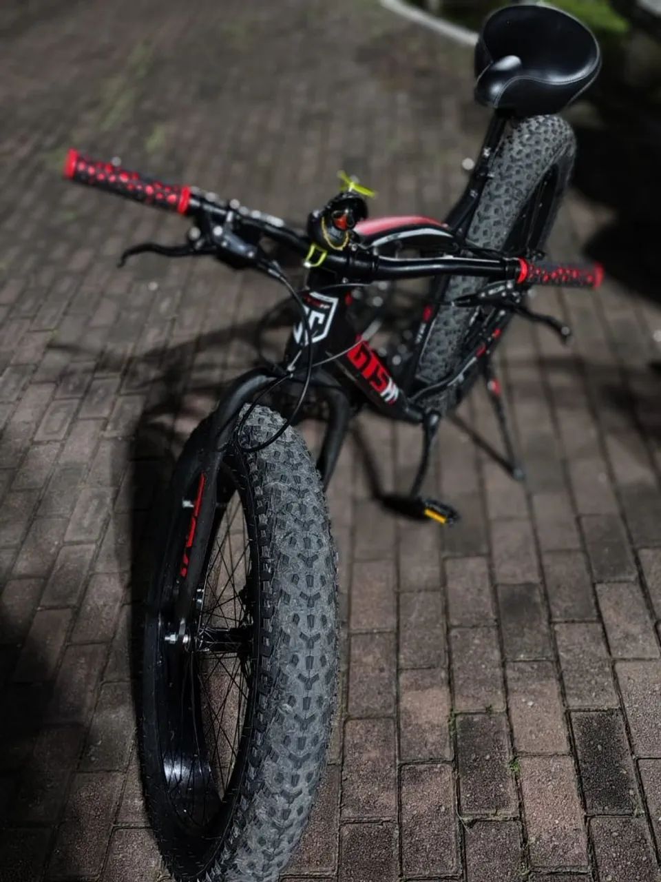 Fat bike 