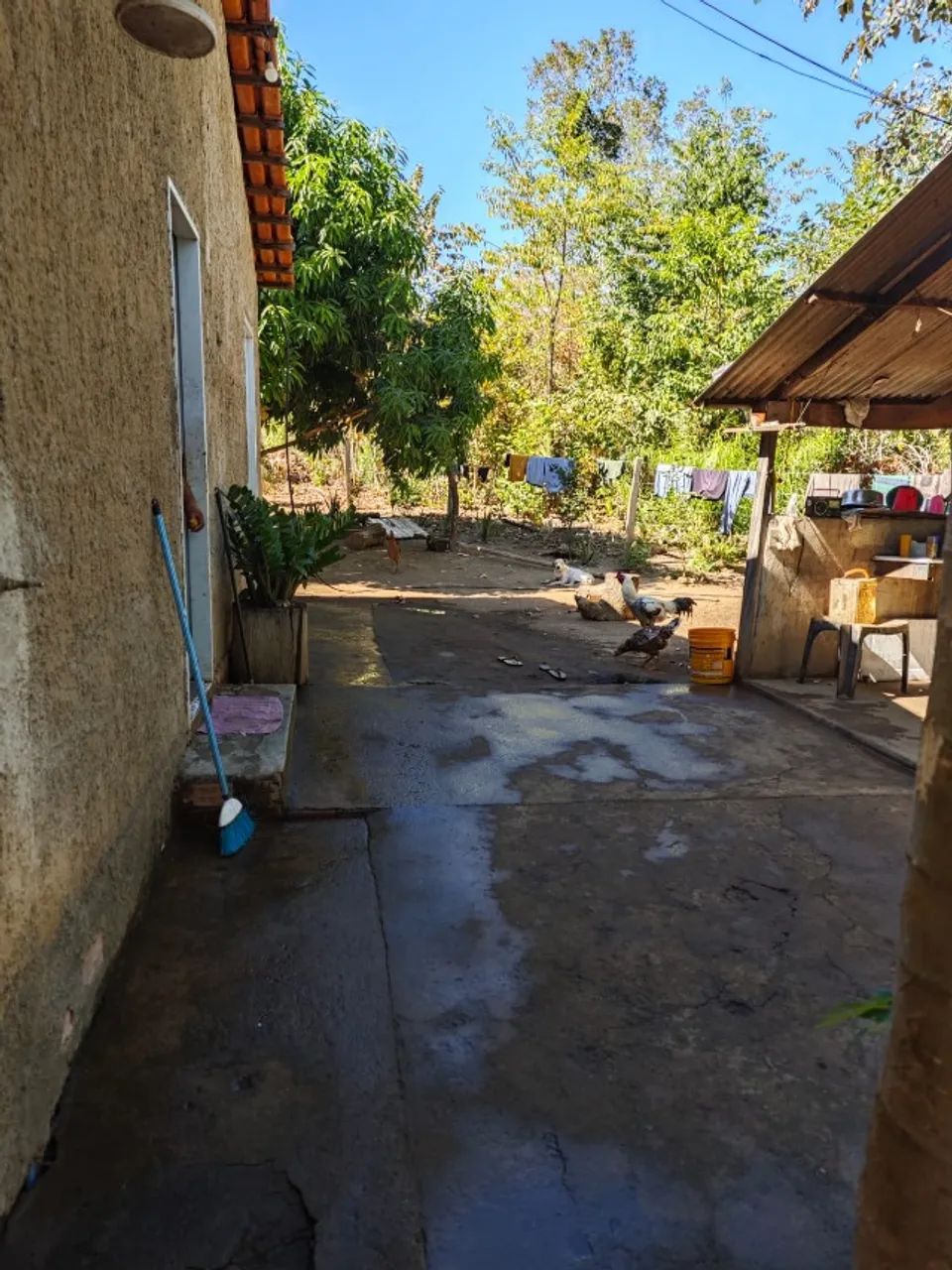 ? VENDE-SE LINDA CHÁCARA! ? - Foto 4