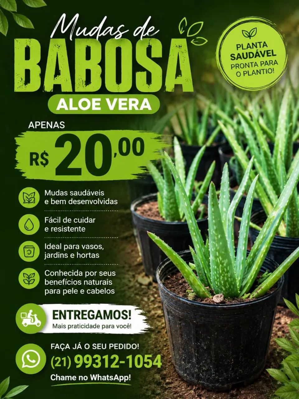 Muda de babosa 