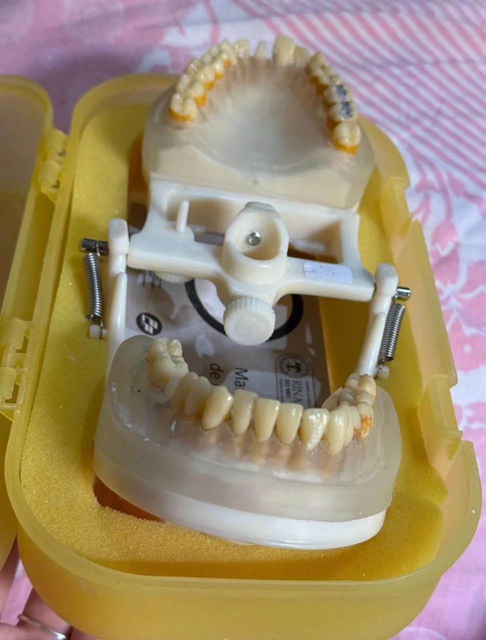 Manequim Odontológico  - Foto 2