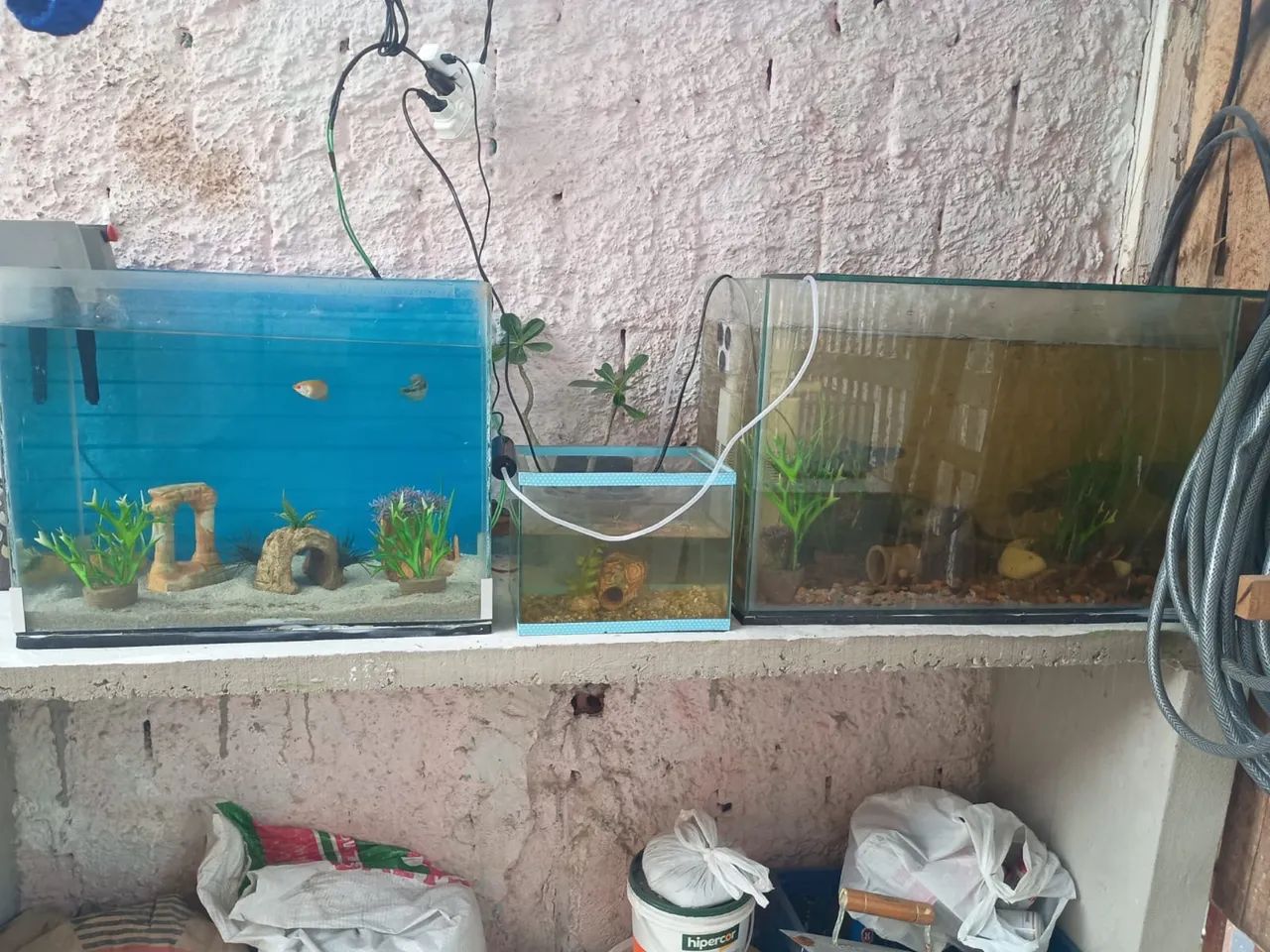 Aquários  60 e 80 lts