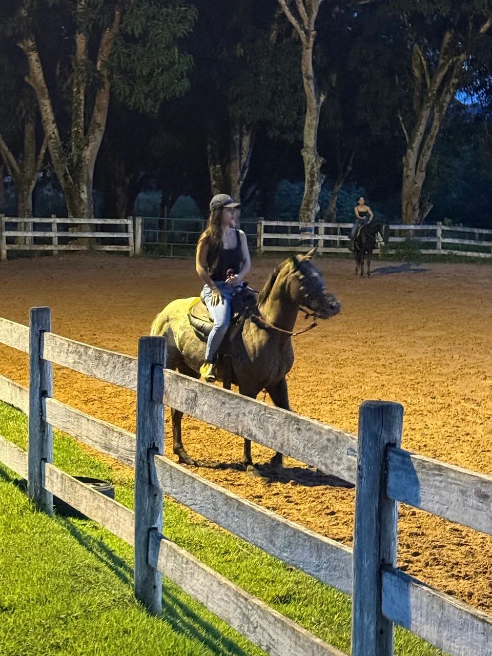 VENDO POTRA APPALOOSA - Foto 2