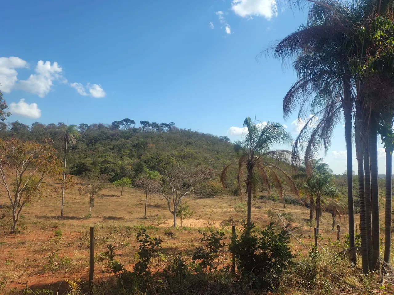 FAZENDINHA - PRÓXIMO DE MONTES CLAROS  - Foto 5
