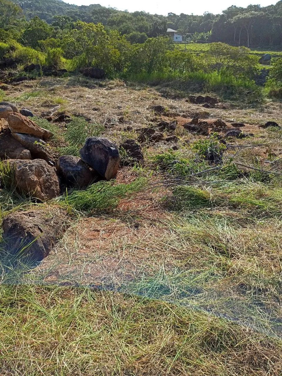 Serviço de jardinagem Pinheira praia do sonho  - Foto 2