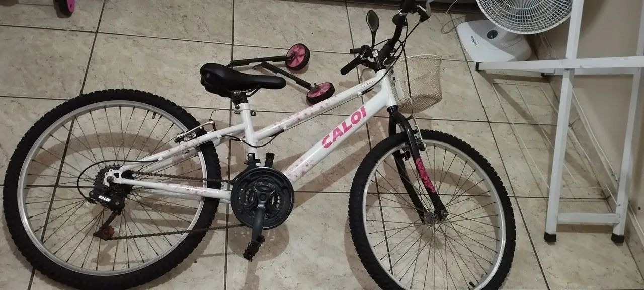 Bicicleta aro 24