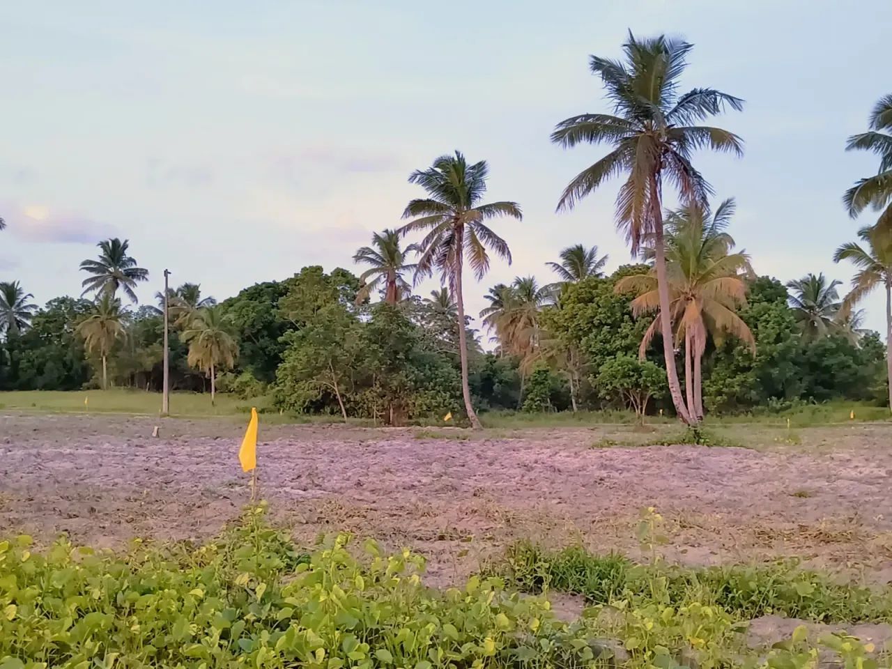 Lotes em Porto de Galinhas! - Foto 5