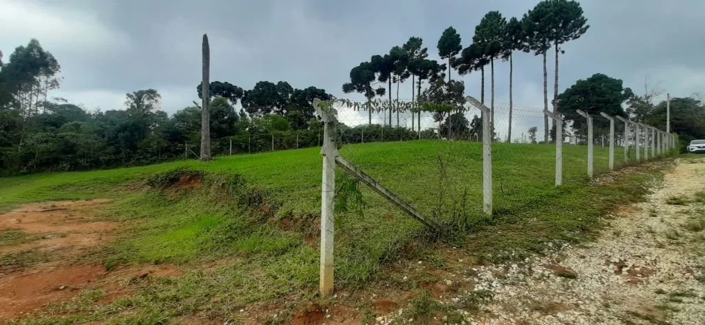 Terreno à venda por R$ 260000.00, 1977.00 m2 - ROSEIRA - COLOMBO/PR - Foto 4