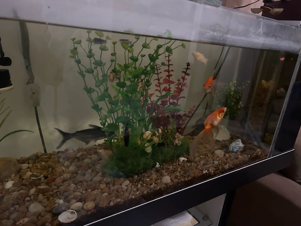 Vendo um arqueiro completo 120 litros 