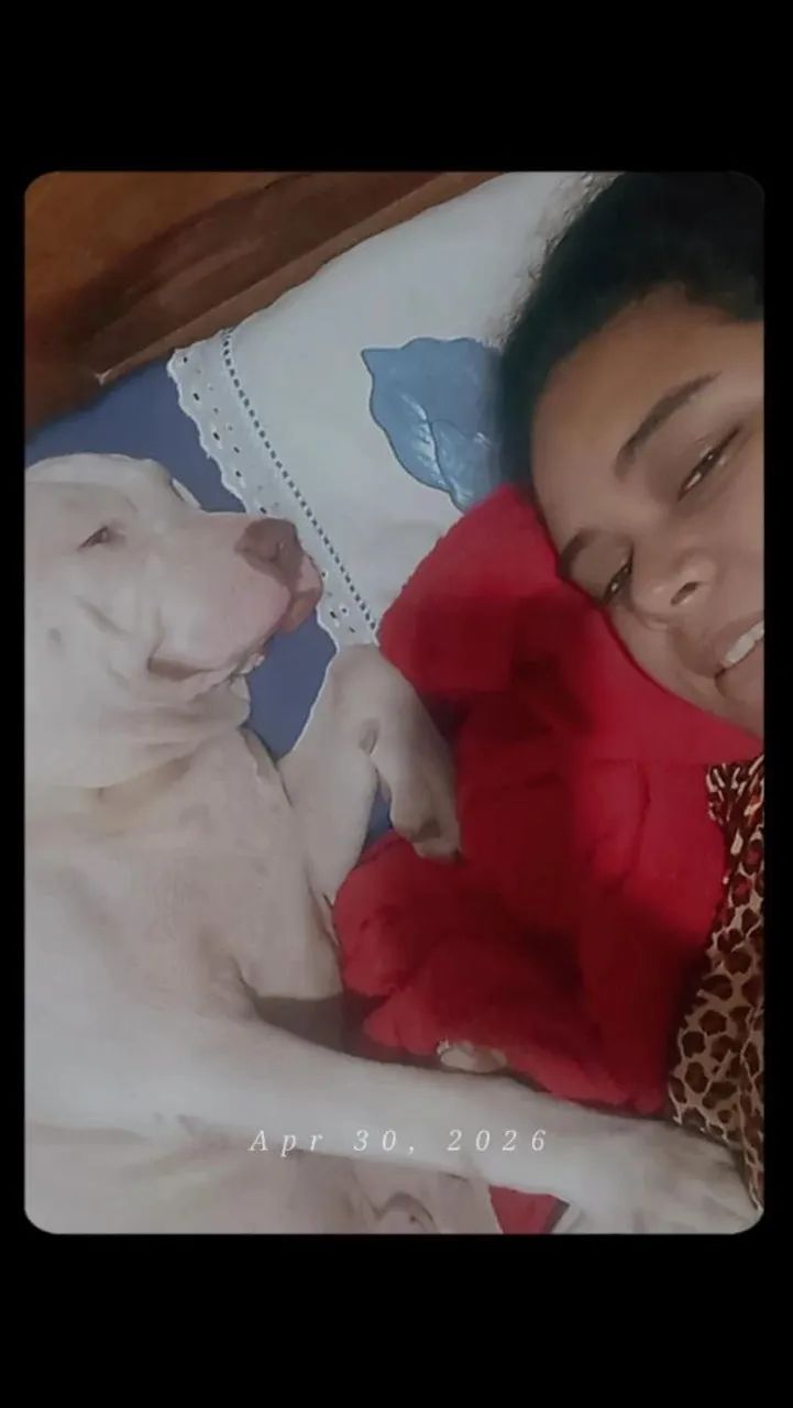 Cachorro procurando uma namorada  - Foto 3