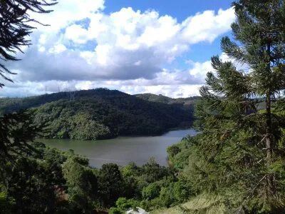 Sítio Rio Branco do Sul 