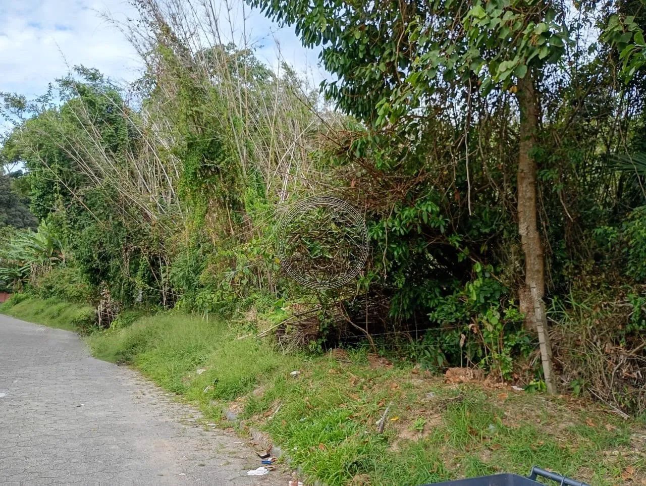 Terreno de 28530m² no Ribeirão da Ilha - Foto 5