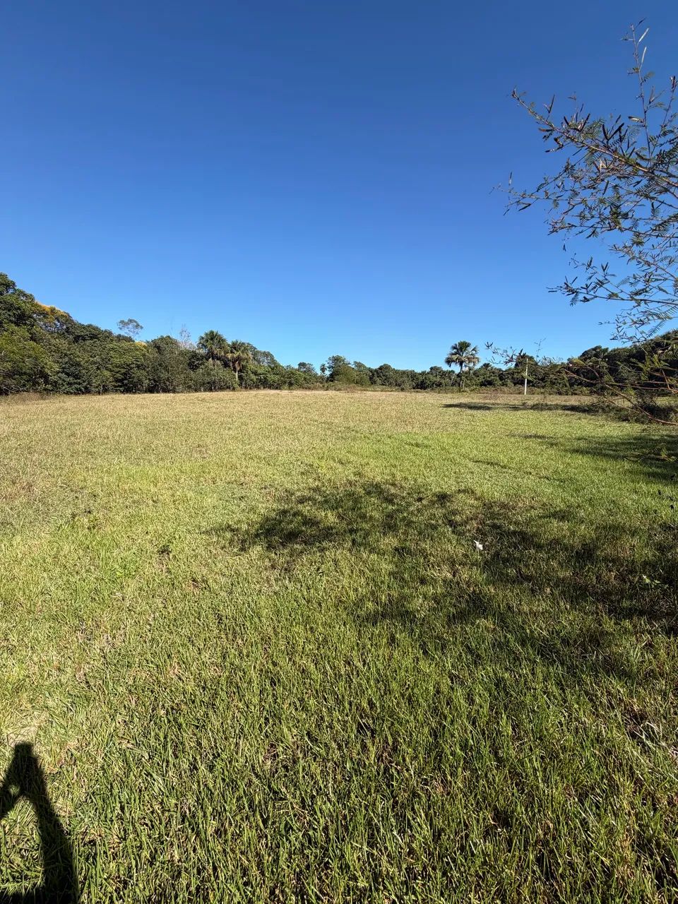 Vendo chácara 4 hectares, próximo a Primavera do Leste.