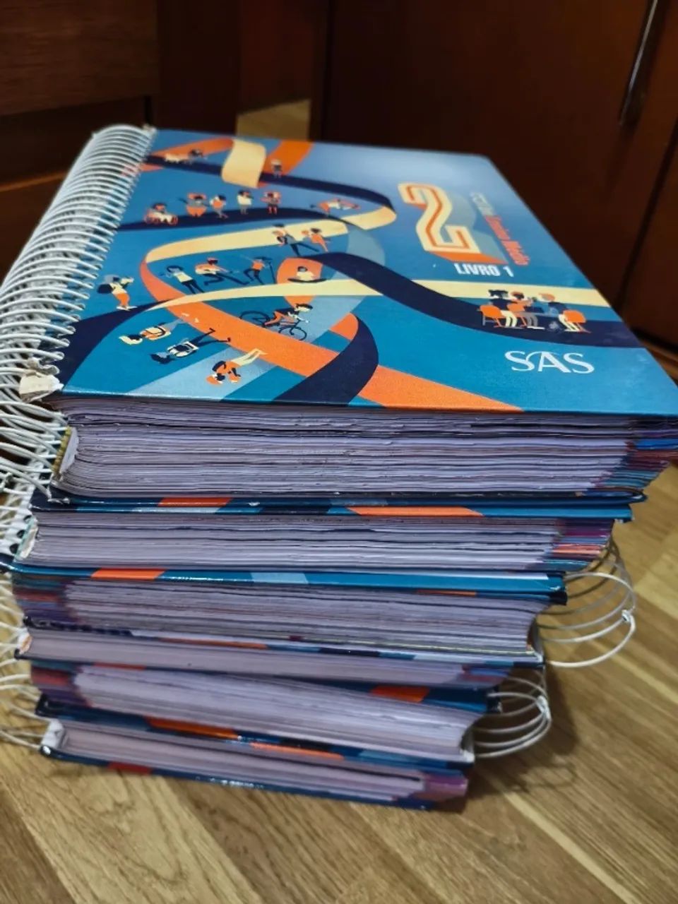 Apostila SAS 2019