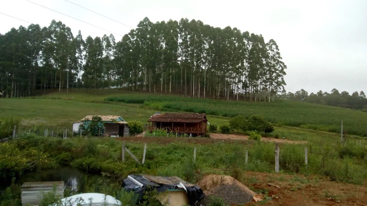 Terrenos 250. 500 .1000 MTS  - Foto 4