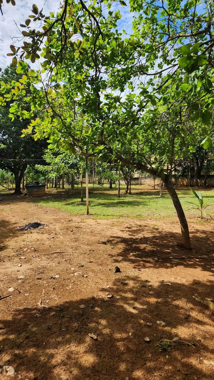Foto - Goiânia - Setor Criméia Leste