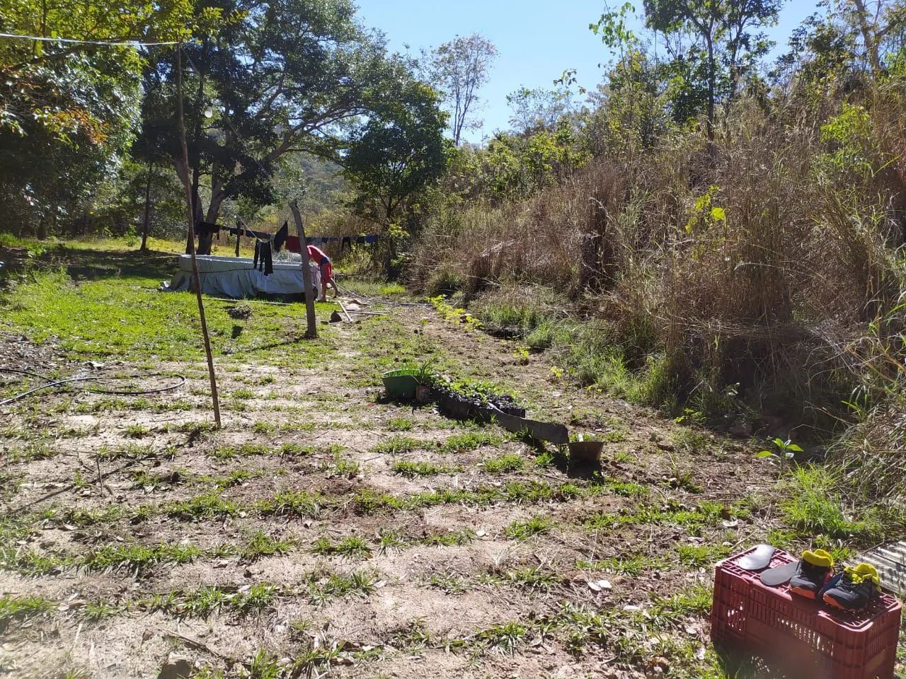 ? PROPRIEDADE RURAL À VENDA ? 6 ALQUEIRES - Foto 3
