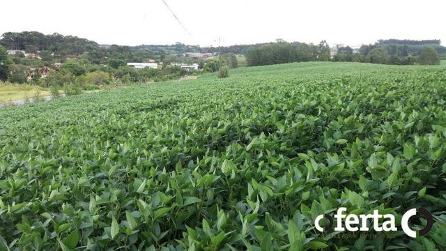 Terreno em Contenda 23.000 m2 na faixa de Comércio e Serviço - Foto 8