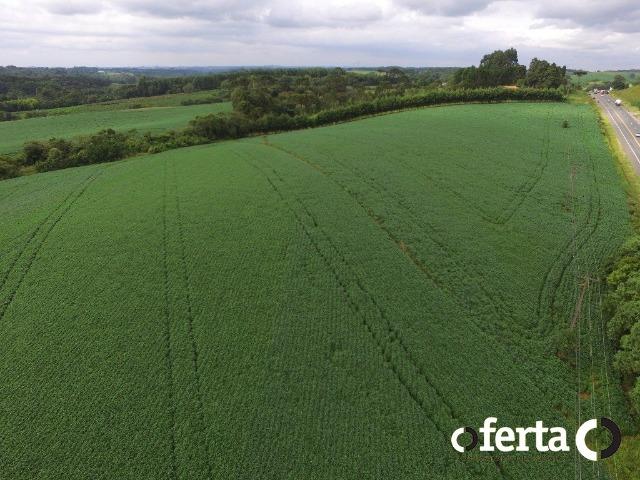 Terreno em Contenda 23.000 m2 na faixa de Comércio e Serviço