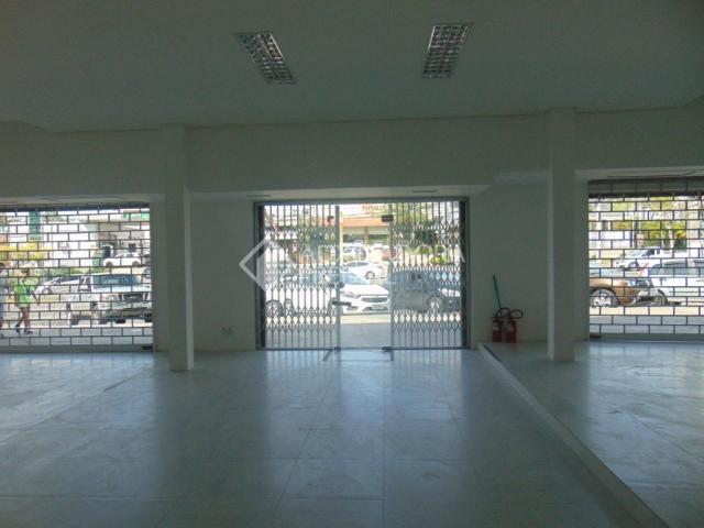 Loja comercial para alugar em Boa vista, Porto alegre cod:288022 - Foto 2