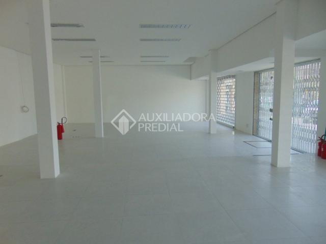 Loja comercial para alugar em Boa vista, Porto alegre cod:288022 - Foto 8