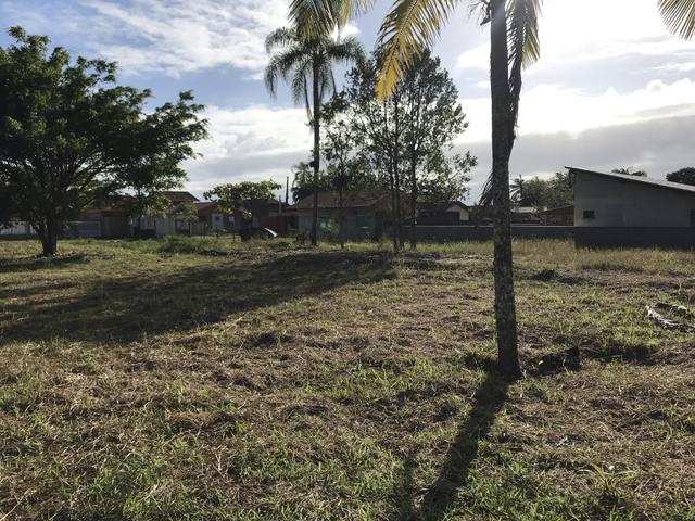 Terreno Lote - Foto 3