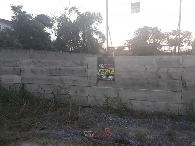 Terreno murado e aterrado de frete para a rodovia - Foto 10