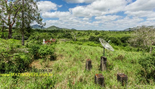 Fazenda Pecuária de 1.260 Hectares - Foto 13